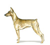 German Pinscher Puppies for sale
