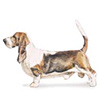 Basset Hound Puppies for sale