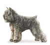 Bouvier des Flandres Puppies for sale