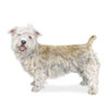 Glen of Imaal Terrier Puppies for sale