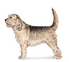 Otterhound Puppies for sale