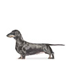 Dachshund Puppies for sale