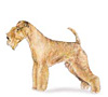 Lakeland Terrier Puppies for sale