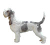 Grand Basset Griffon Vendeen Puppies for sale