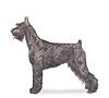 Giant Schnauzer Puppies for sale