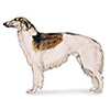 Borzoi Puppies for sale