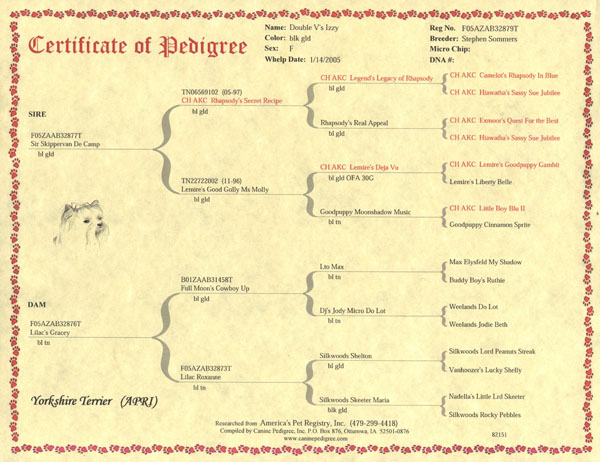 Blank Pedigree Chart For Dogs Free
