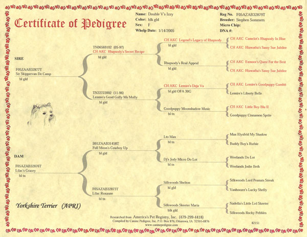 Five Generation Dog Pedigree Chart