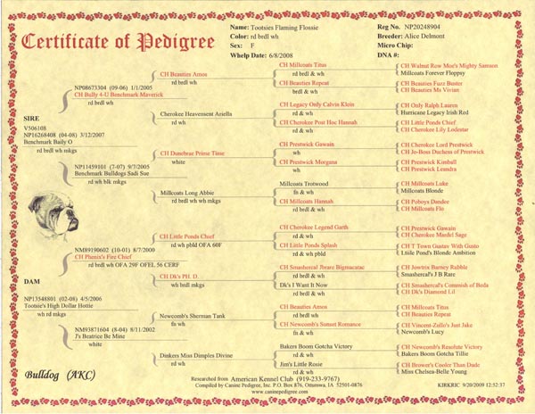 Five Generation Dog Pedigree Chart