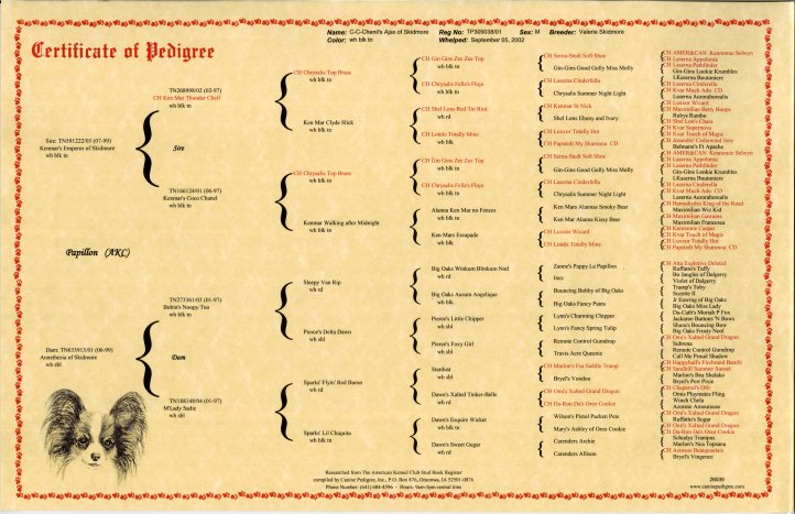 Five Generation Dog Pedigree Chart