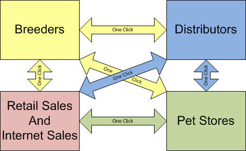 Connecting The Pet Industry